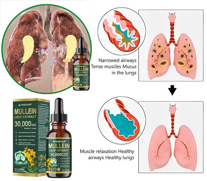 𝗢𝗳𝗳𝗶𝗰𝗶𝗮𝗹 | Healrize® 𝗢𝗿𝗴𝗮𝗻𝗶𝗰 𝗟𝘂𝗻𝗴 𝗖𝗹𝗲𝗮𝗻𝘀𝗶𝗻𝗴 𝗠𝘂𝗹𝗹𝗲𝗶𝗻 𝗟𝗲𝗮𝗳 𝗘𝘅𝘁𝗿𝗮𝗰𝘁 𝗗𝗿𝗼𝗽𝘀 🌎 𝐂𝐥𝐢𝐧𝐢𝐜𝐚𝐥𝐥𝐲 𝐩𝐫𝐨𝐯𝐞𝐧, 𝐡𝐢𝐠𝐡𝐥𝐲 𝐜𝐨𝐧𝐜𝐞𝐧𝐭𝐫𝐚𝐭𝐞𝐝 𝐟𝐨𝐫𝐦𝐮𝐥𝐚 𝐭𝐡𝐚𝐭 𝐫𝐞𝐥𝐢𝐞𝐯𝐞𝐬 𝐜𝐨𝐮𝐠𝐡, 𝐩𝐡𝐥𝐞𝐠𝐦, 𝐚𝐬𝐭𝐡𝐦𝐚 & 𝐂𝐎𝐏𝐃 — 𝐛𝐫𝐞𝐚𝐭𝐡𝐞 𝐞𝐚𝐬𝐢𝐞𝐫, 𝐟𝐚𝐬𝐭𝐞𝐫.🇺🇸
